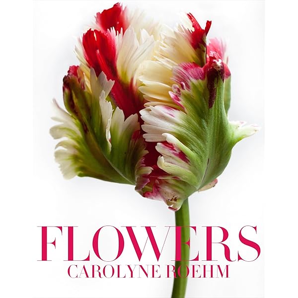 A Passion for Flowers:Carolyne Roehm/花 81sq3gu4ODL.jpg